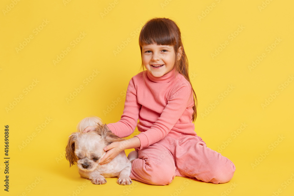 Little girl playing with puppy Pekingese isolated over yellow background, happy laughing dark haired female child looking at camera and hugging her pet, kid expressing positive. Little girl playing with puppy Pekingese isolated over yellow background, happy laughing dark haired female child looking at camera and hugging her pet, kid expressing positive.