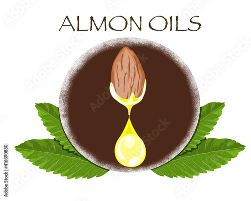 A drop of almond oils from almond seed with leaves decoration on white background. Close up hand drawing natural ingredients vector illustration.
