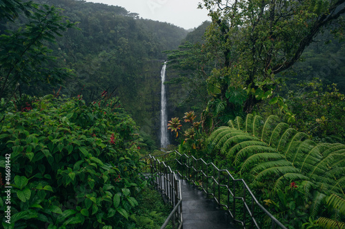 Akaka Falls on the Big Island of Hawaii in a tropical rain forest photo