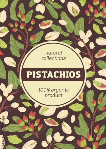 Design of packaging with pistachio pattern on dark background. Vertical packing template with branches, leaves, shells and kernel of pistaches. Hand-drawn colored vector illustration