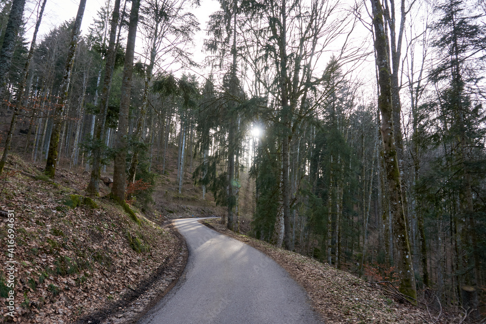Fototapeta premium road through a forest with the sun in the background