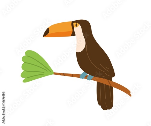 Tablou canvas Profile of cute toucan or tucan sitting on tree branch