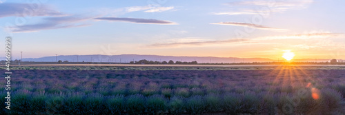 sunset over the Lavender