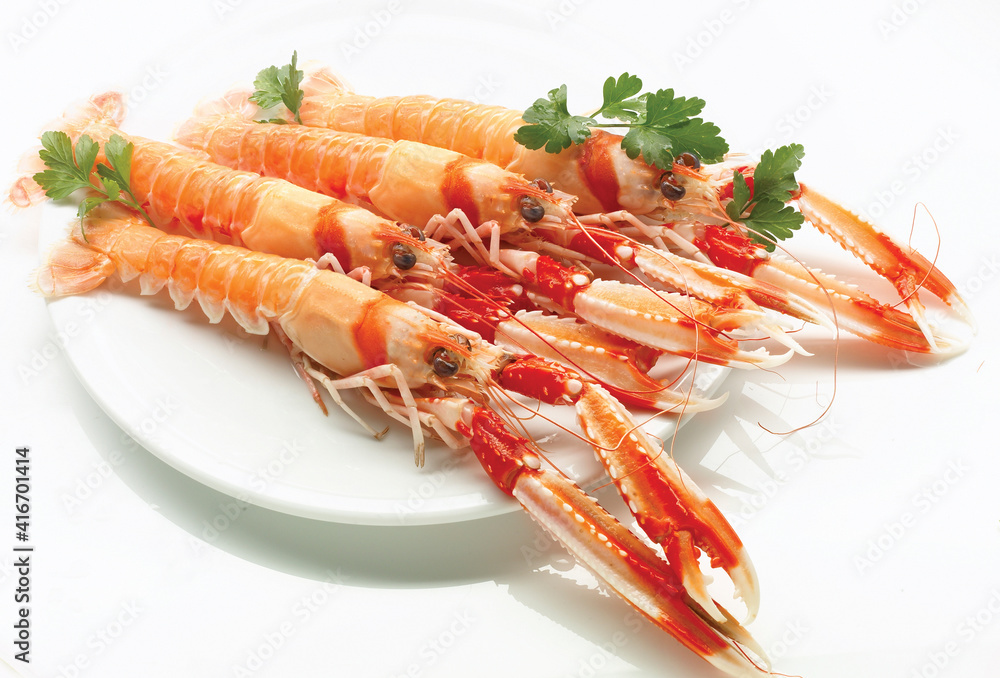 cigalas Del Mar sobre un plato sobre un fondo blanco.. crayfish Del Mar on a plate against a white background. cigalas Del Mar sobre un plato sobre un fondo blanco.. crayfish Del Mar on a plate against a white background.