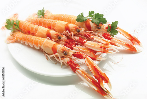 cigalas Del Mar sobre un plato sobre un fondo blanco.. crayfish Del Mar on a plate against a white background.