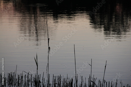 Lake,Partk,Shadow photo
