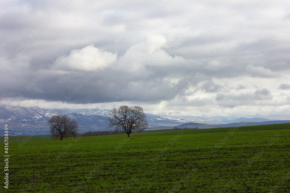 Beautiful green fields in cloudy weather. Beautiful green fields in cloudy weather.