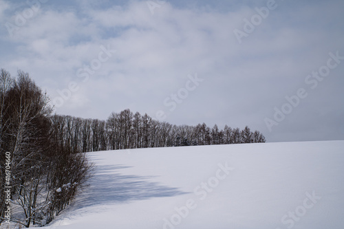 樹影映る雪原 © 大西 親文