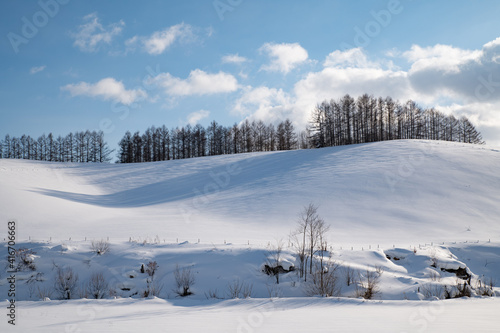 冬美瑛の樹影かかる丘の風景