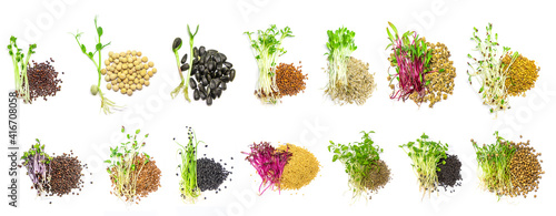 Collage of different microgreens on a white background. Selective focus. photo