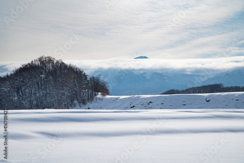雲かかる雪山の麓から © 大西 親文