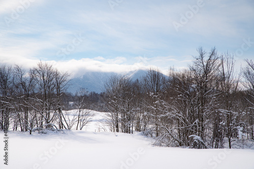 雲かかる雪山の麓から