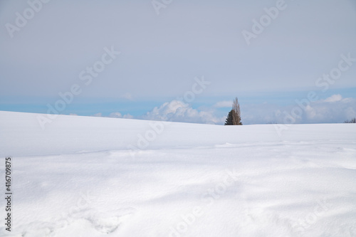 雪原の道標