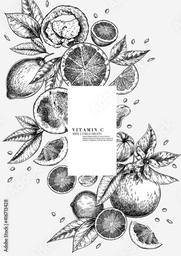 Citrus fruit set. Hand drawn orange, lemon, grapefruit, mandarin, lime, bergamot, leaves with bloosm and branches. Vector engraved composition Restaurant branding, cosmetic package design, menu.