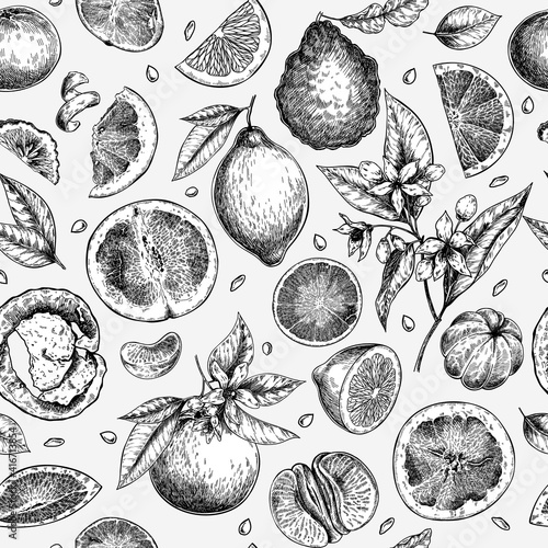 Citrus fruit set. Hand drawn orange, lemon, grapefruit, mandarin, lime, bergamot, leaves with bloosm and branches. Vector engraved seamless pattern. Restaurant branding, cosmetic package design, menu.