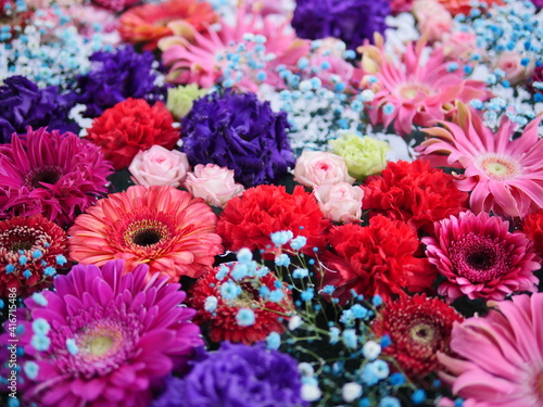 Fototapeta Naklejka Na Ścianę i Meble -  Multi-colored beautiful flower background