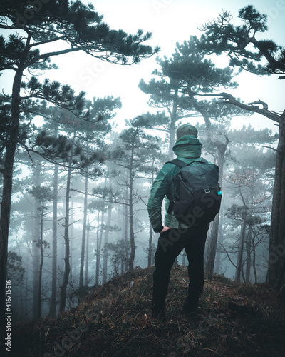 Fotografering hiker standing in moody forest in national park, back view
