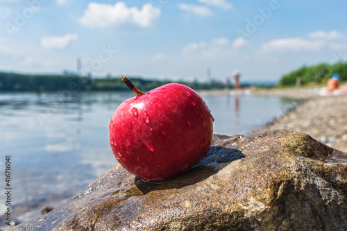 A ripe and juicy red apple lies on a stone against the background of the river and the bank