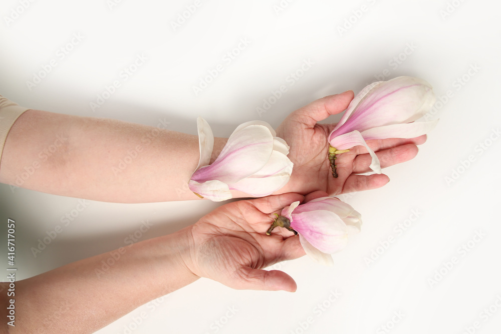 close-up of hand of elderly woman on light background, holding buds of spring flowers, magnolia, concept of awakening of nature, aroma of plants, anti-aging cosmetology and care for aging skin