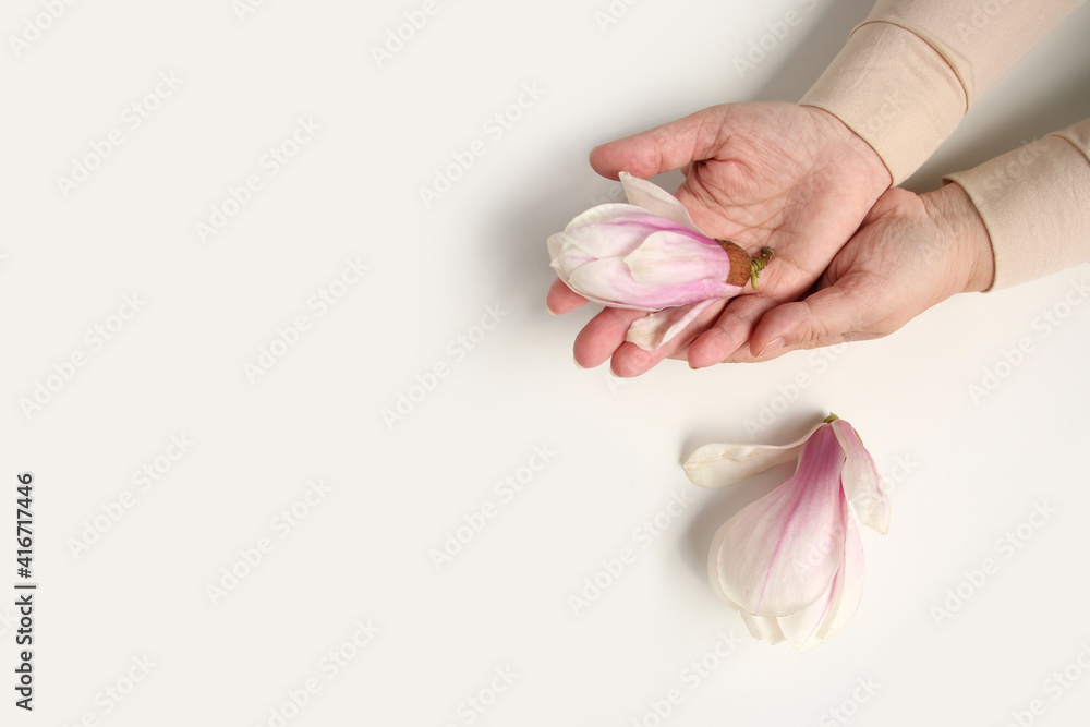 close-up of middle-aged woman's hand holding buds of spring flowers, pink magnolia, concept of awakening nature, aroma of plants, anti-aging cosmetology and care for aging skin close-up of middle-aged woman's hand holding buds of spring flowers, pink magnolia, concept of awakening nature, aroma of plants, anti-aging cosmetology and care for aging skin