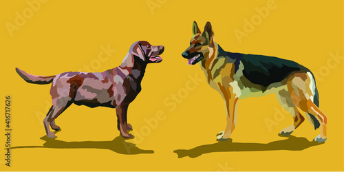 Illustration vectorielle de chiens représentant un labrador et un berger allemand