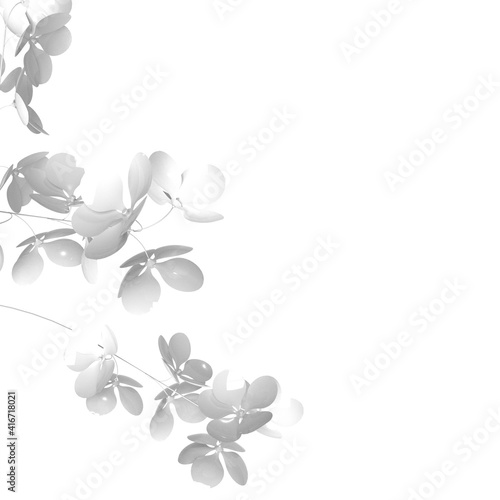 flower on white background