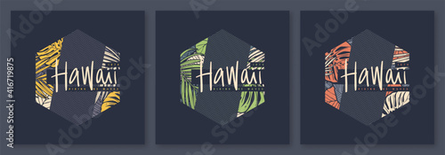 Set of Hawaii tropical vector t-shirt designs, posters, prints, labels