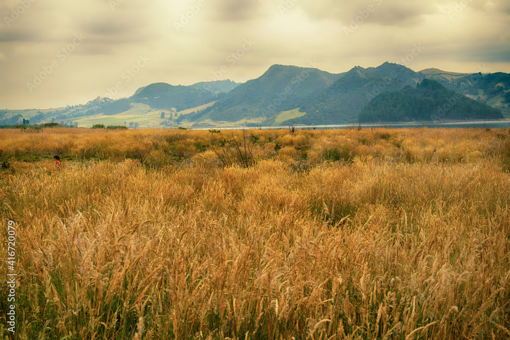 Fototapeta premium landscape with mountains