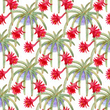 Hand drawn watercolor seamless pattern with blooming cactuses. Stock illustration of plant isolated on white background.