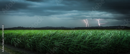 Crack over cane fields 