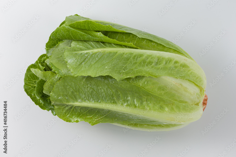 Romain lettuce on white background clouseup view. Romain lettuce on white background clouseup view.