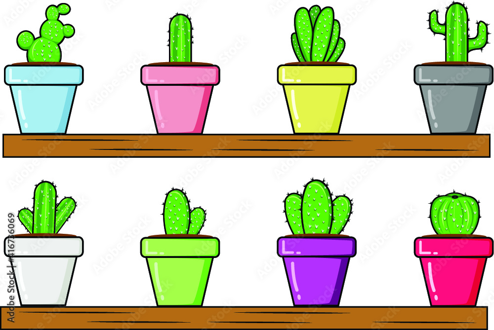 Fototapeta premium Collection of small cactuses in pots