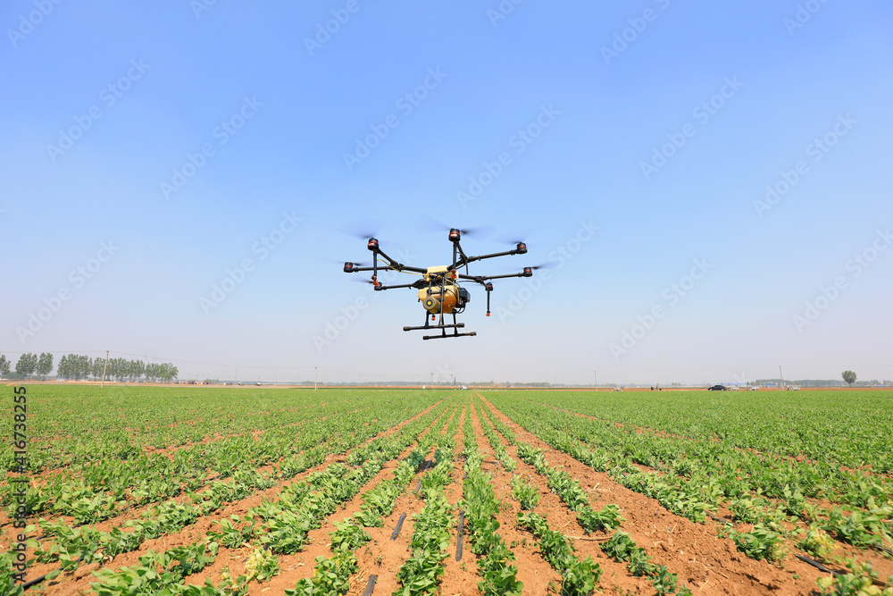 A farm drone sprays medicine on farmland, North China A farm drone sprays medicine on farmland, North China