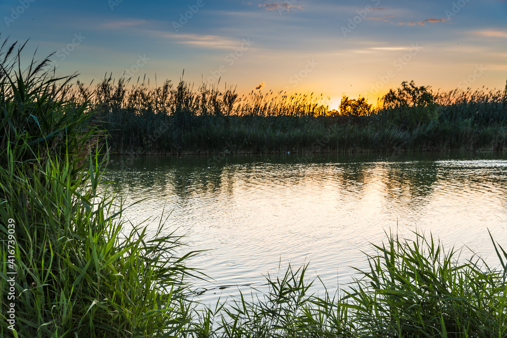 El Palmar, Albufera, Valencia, Spain El Palmar, Albufera, Valencia, Spain