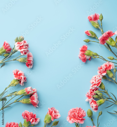 Fototapeta Naklejka Na Ścianę i Meble -  Concept of Mother's day holiday greeting gift with carnation bouquet on bright blue table background