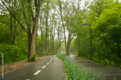 Spring road in the city park in fog after rain in Kharkiv, Ukraine