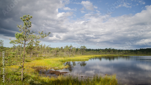 Kalnansu swamp with lake, Kabile, Latvia © Bargais