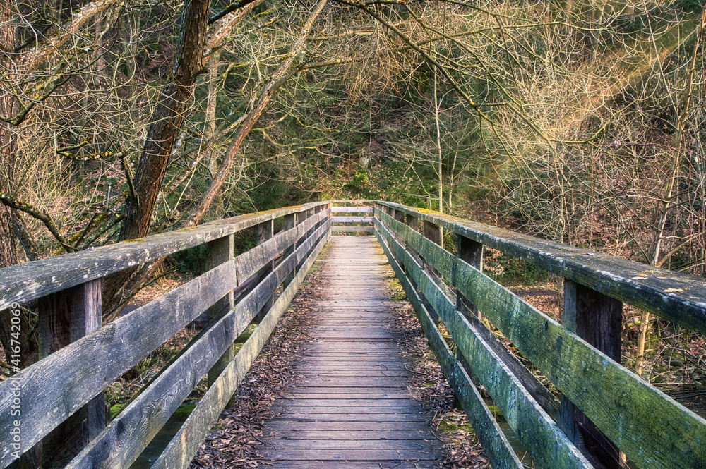 Aufnahme einer alten Holzbrücke im Wald welche über die Feldaist führt