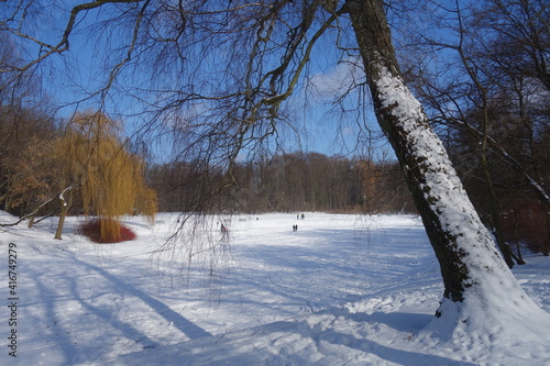 City park in winter scenery. Beautiful little pond in winter. Frozen water in the pond 