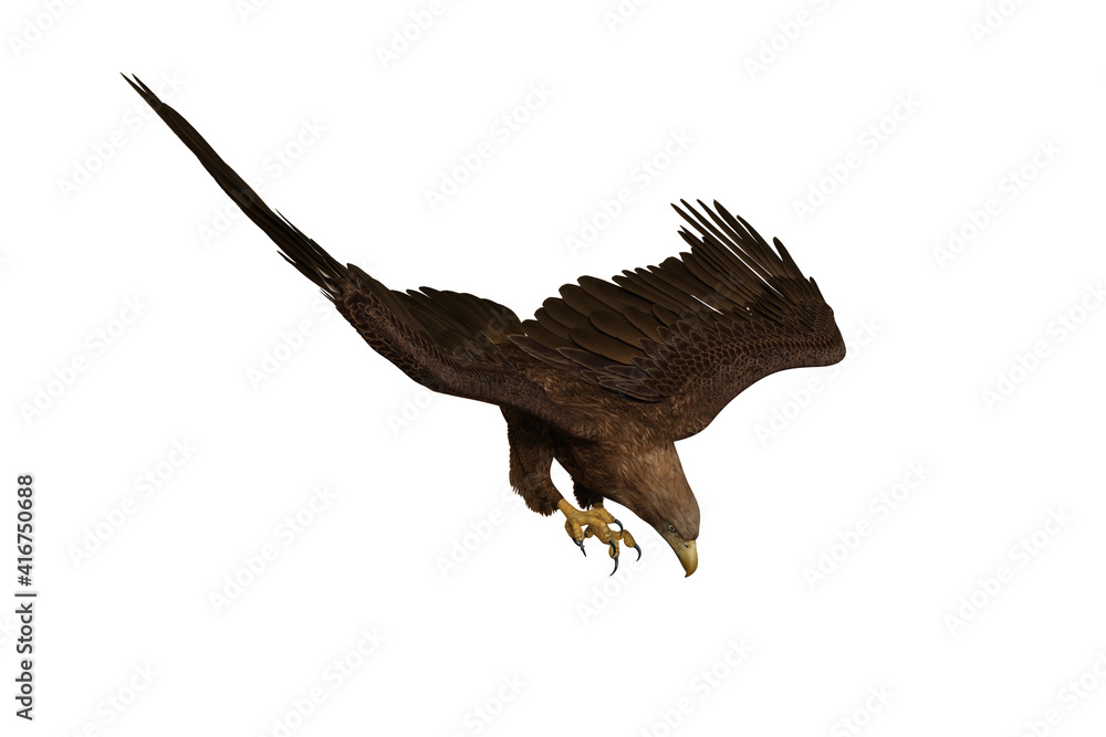 Obraz premium Golden Eagle diving to catch prey, 3D illustration isolated on white background.