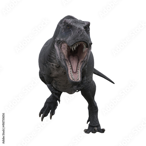 Tyrannosaurus Rex runing towards the camera aggressively with mouth open  3D illustration isolated on white background.