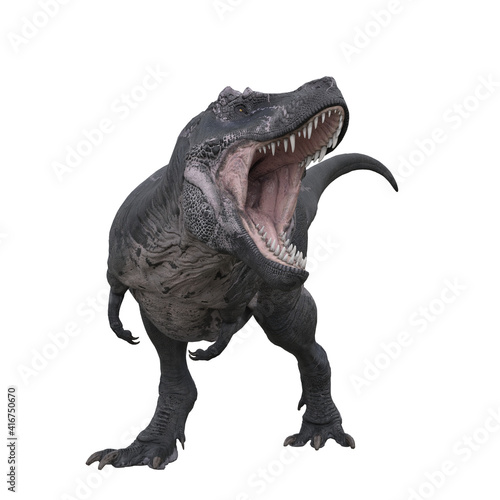 Tyrannosaurus Rex front view with mouth wide open attacking. 3D illustration isolated on white background.