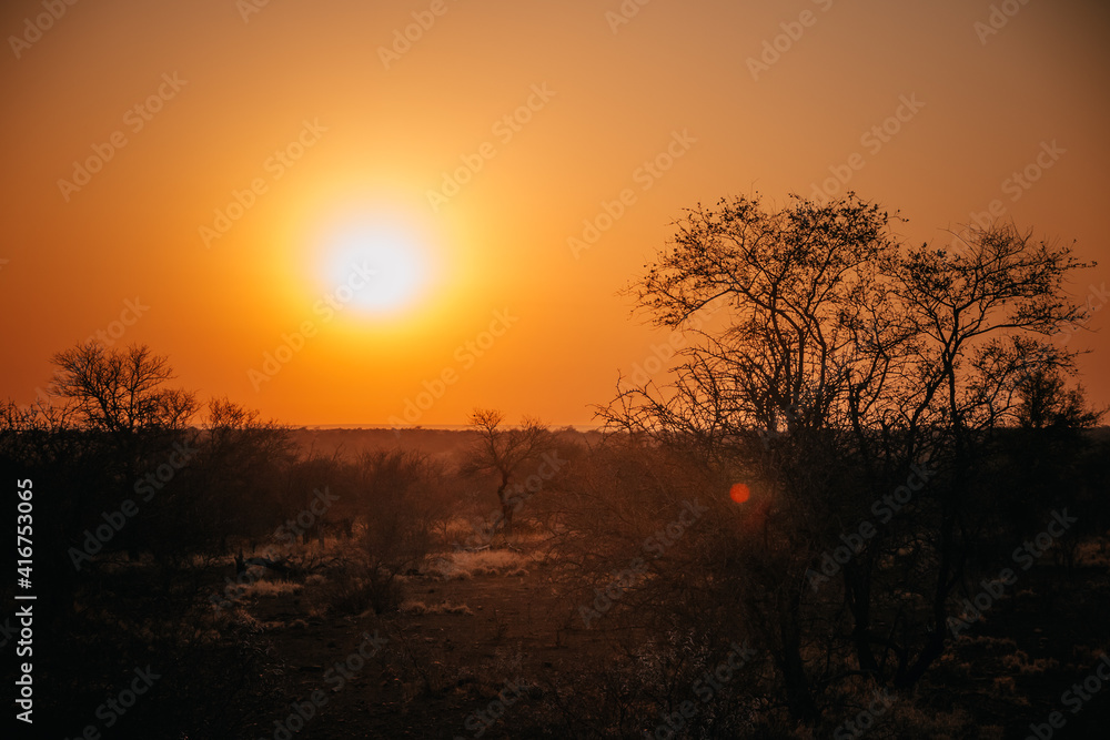 sunset sky in the African savanna