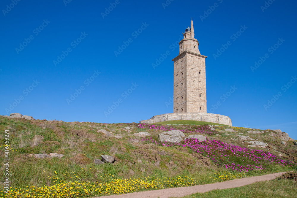 lighthouse on the lush banks of the ocean