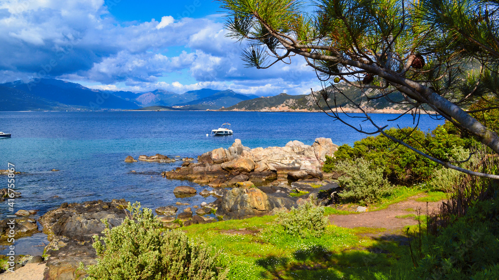 Fototapeta premium Corse