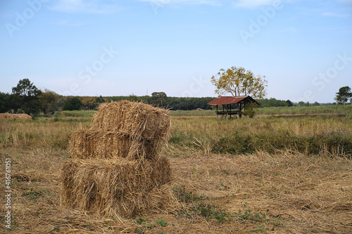 hay bales in a field