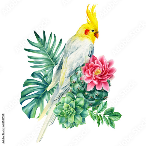Poster parrots and tropical flowers on isolated white background  beautiful bird watercolor painting  illustration