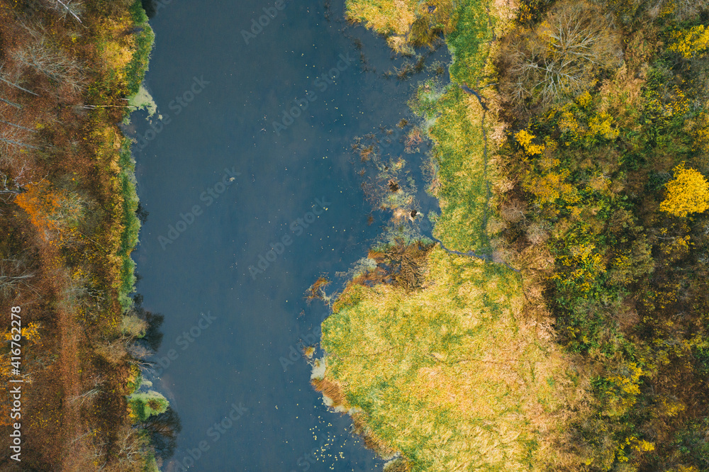 Aerial drone view. Small river in the mixed autumn forest.