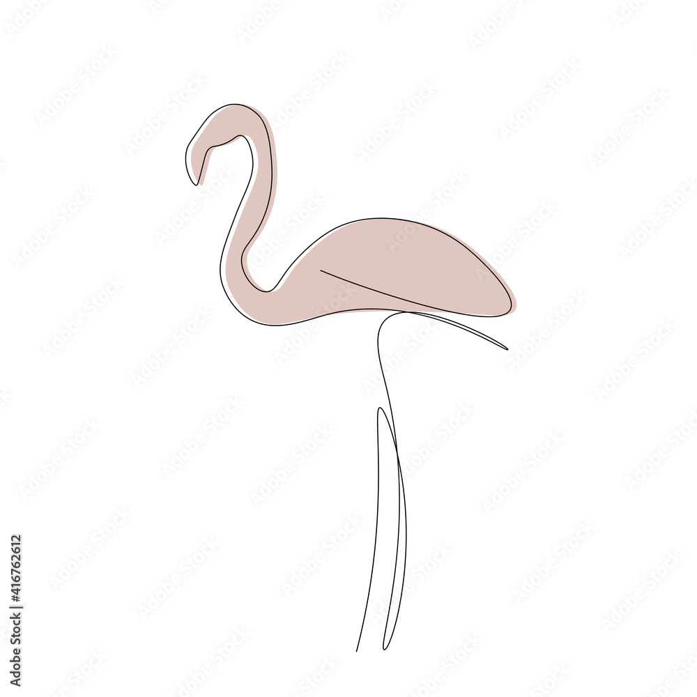 Obraz premium Flamingo bird animal line drawing, vector illustration