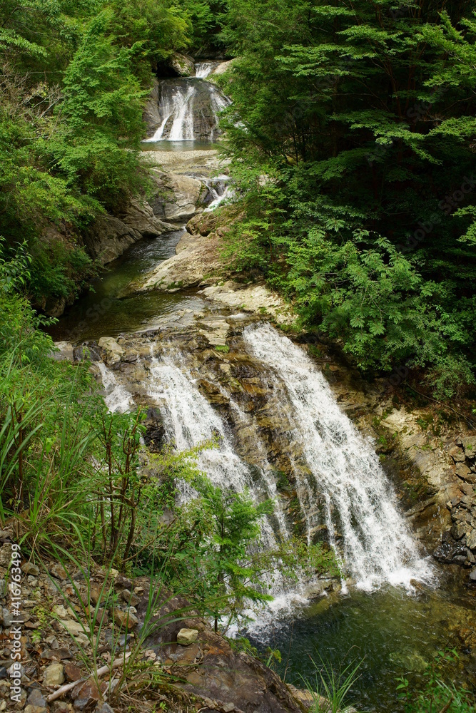 大鍋小鍋の滝 (奈良県吉野郡北山村)(water fall,fresh verdure,kitayama,nara,japan,waterfall,nature,trabel,drive,beautifle,river,splash,onabe konabe taki) 大鍋小鍋の滝 (奈良県吉野郡北山村)(water fall,fresh verdure,kitayama,nara,japan,waterfall,nature,trabel,drive,beautifle,river,splash,onabe konabe taki)
